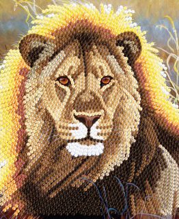 Diamond Painting Resting Leeuw Lion 001 18 x 18 kaart